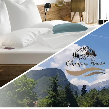 公寓 Olympus House με μοναδική θέα *
