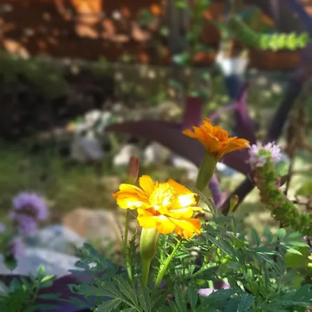 Olympus House με μοναδική θέα アパート *