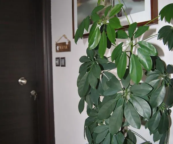 Apartamento Olympus House με μοναδική θέα