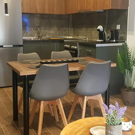 Lägenhet Olympus House με μοναδική θέα Litochoro