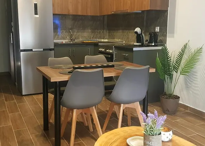 公寓 Olympus House με μοναδική θέα 里托楚伦