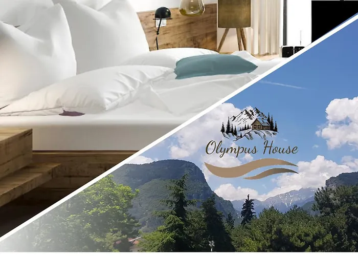 公寓 Olympus House με μοναδική θέα *